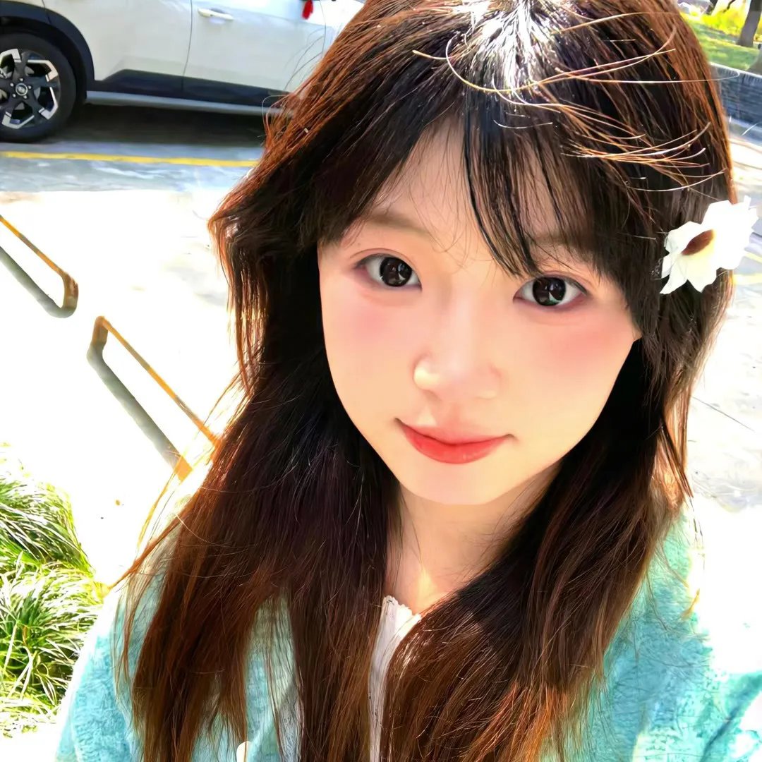梦墙 在线观看封面