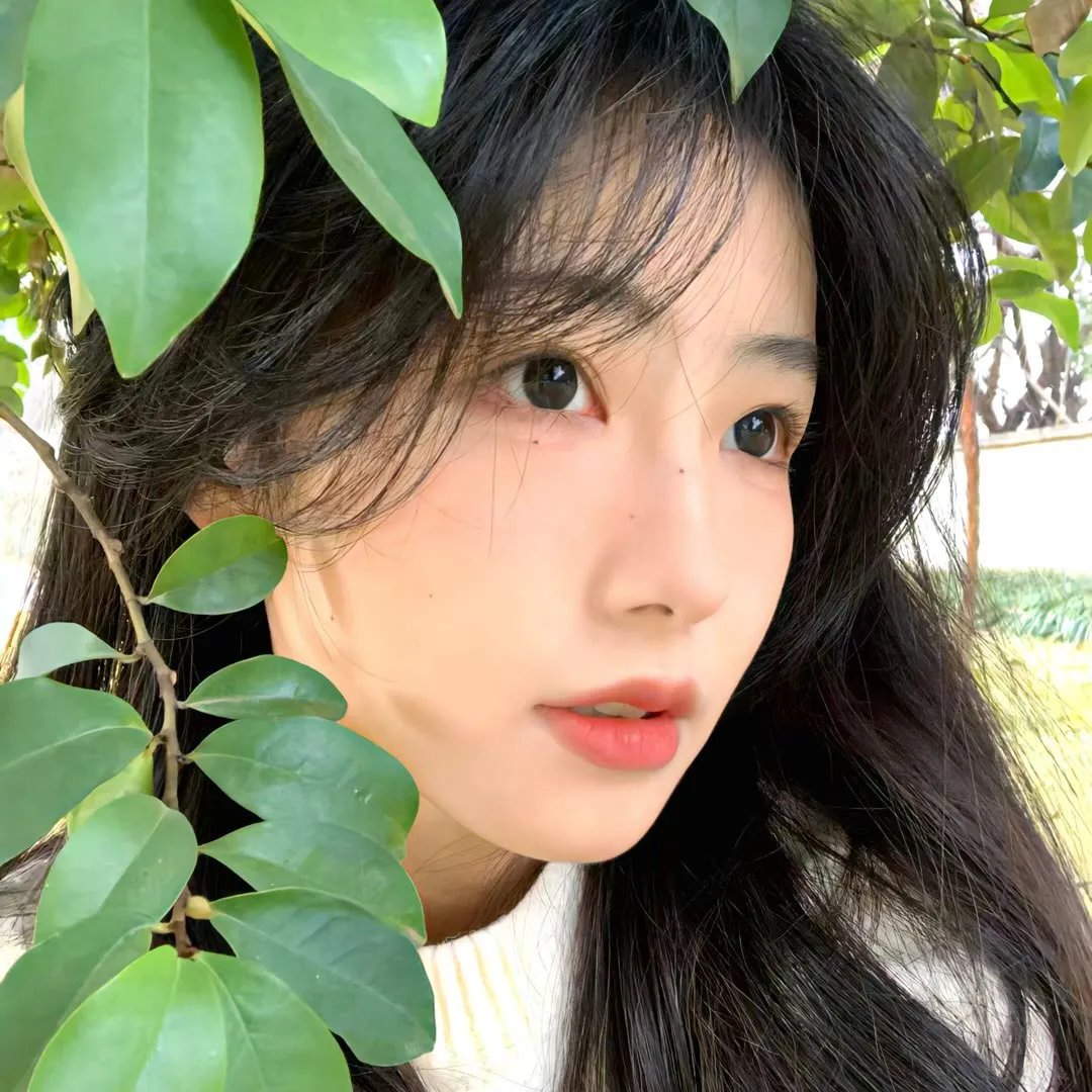 鬼修女 在线观看封面